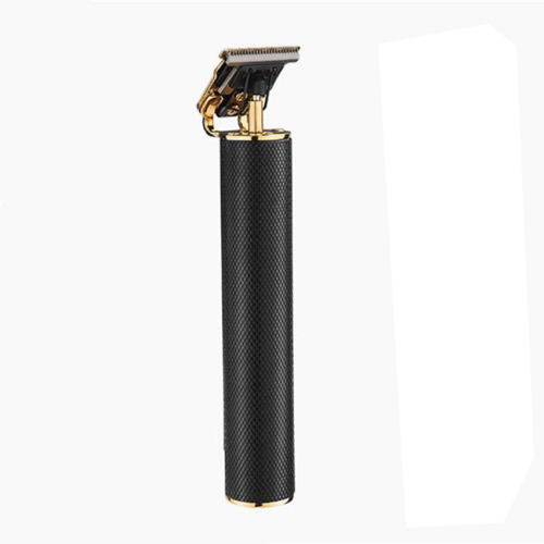 Aparat de ras profesional, VGR V-179, 10W cu lame de inox