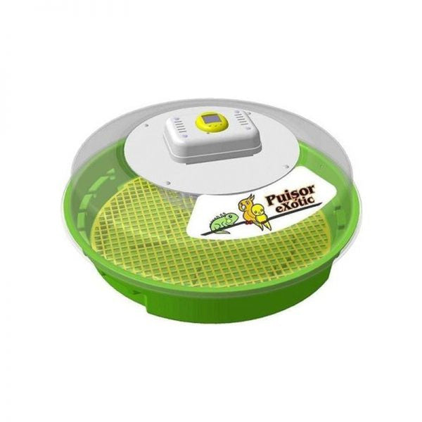 INCUBATOR PUISOR EXOTIC