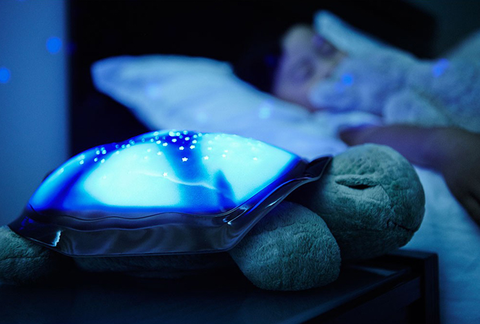 Broasca testoasa luminoasa Sparkling Turtle