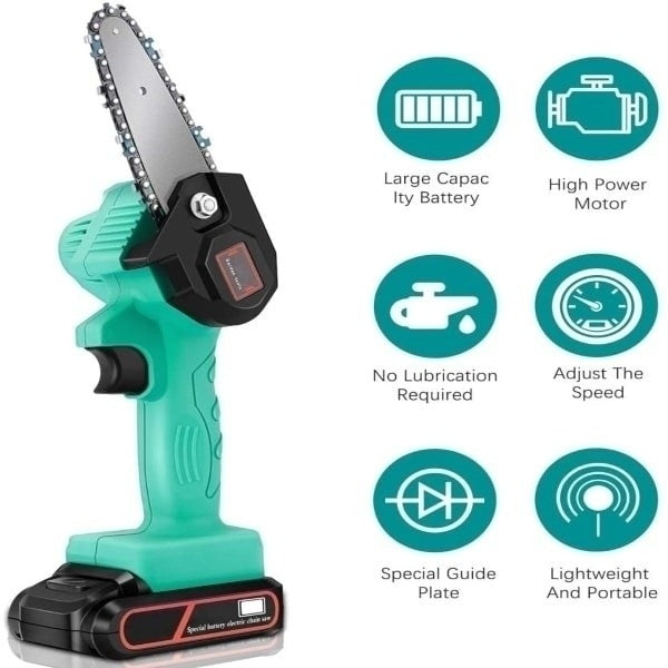 MINI FIERASTRAU ELECTRIC