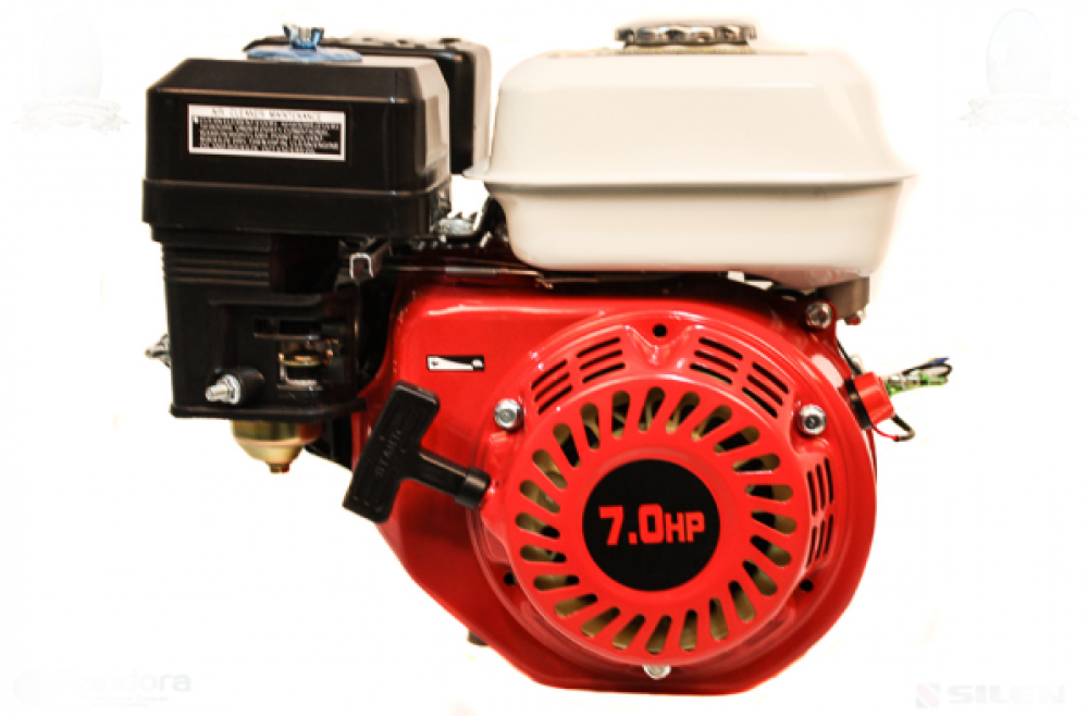 MOTOR PE BENZINA MICUL FERMIER 7 CP