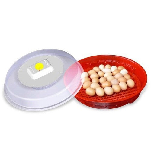 Incubator IO-102
