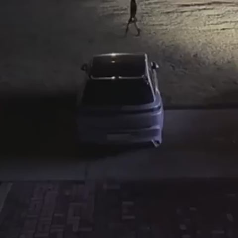 LED "Aripi de Înger" pentru oglinzi auto - WingShine