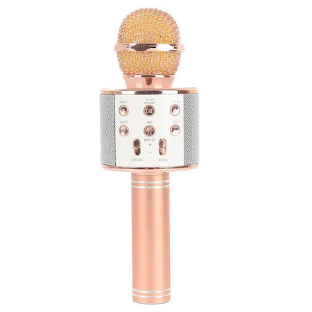Microfon Karaoke Wireless Bluetooth WS-858